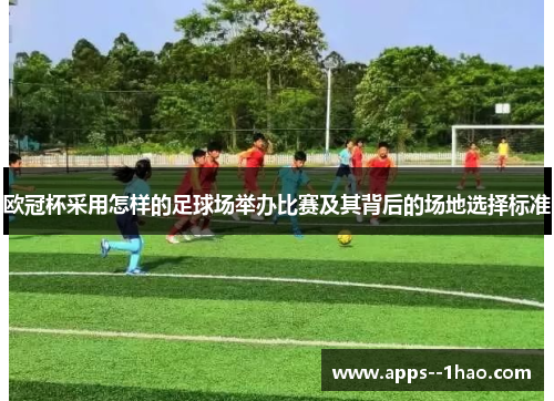 欧冠杯采用怎样的足球场举办比赛及其背后的场地选择标准
