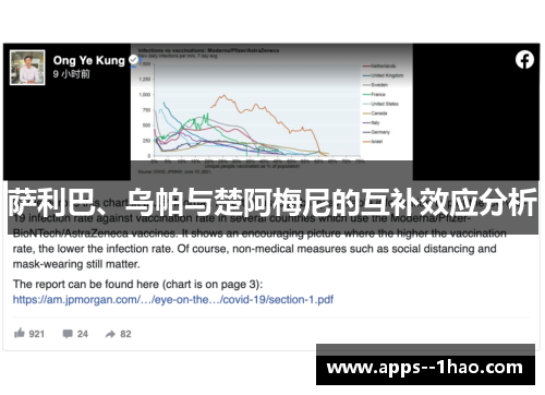 萨利巴、乌帕与楚阿梅尼的互补效应分析