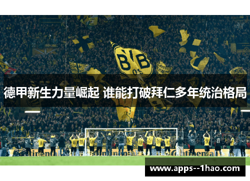 德甲新生力量崛起 谁能打破拜仁多年统治格局