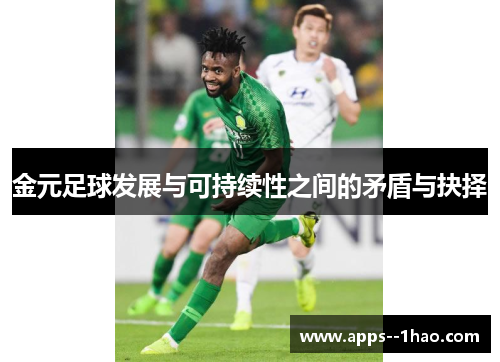 金元足球发展与可持续性之间的矛盾与抉择